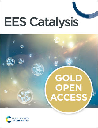 ees-catalysis-journal-cover.jpg